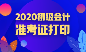 2020青海初级会计准考证打印入口官网是什么？